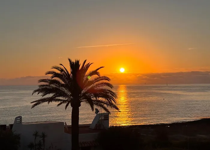 Mimar Javea